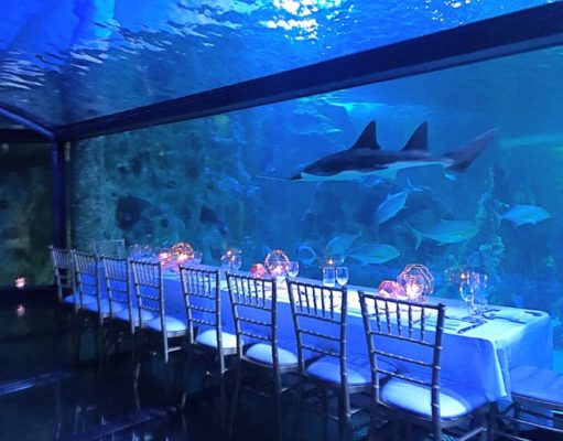 Unique Awards Night at Aquarium